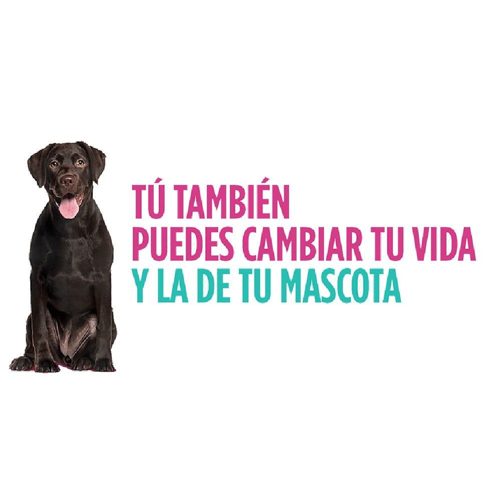 Apoquel Tabletas 16 mg