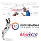 Bravecto Comprimido Masticable