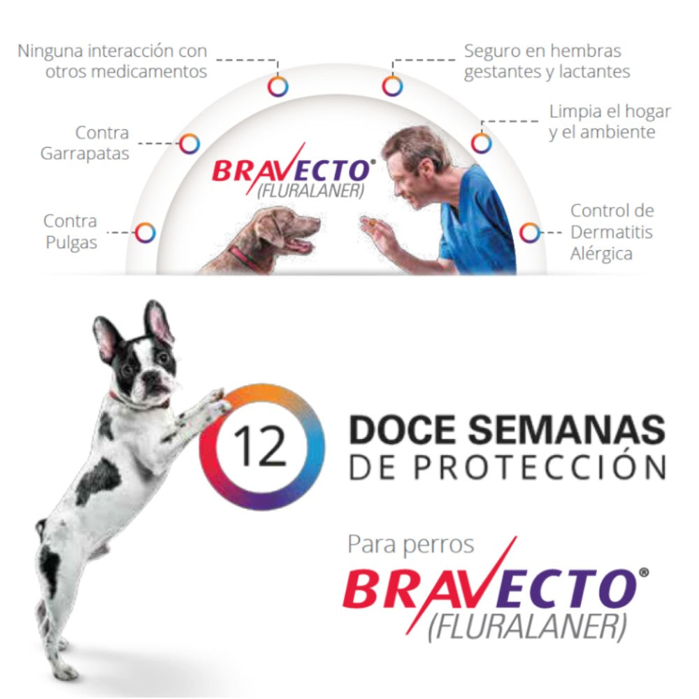 Bravecto Comprimido Masticable